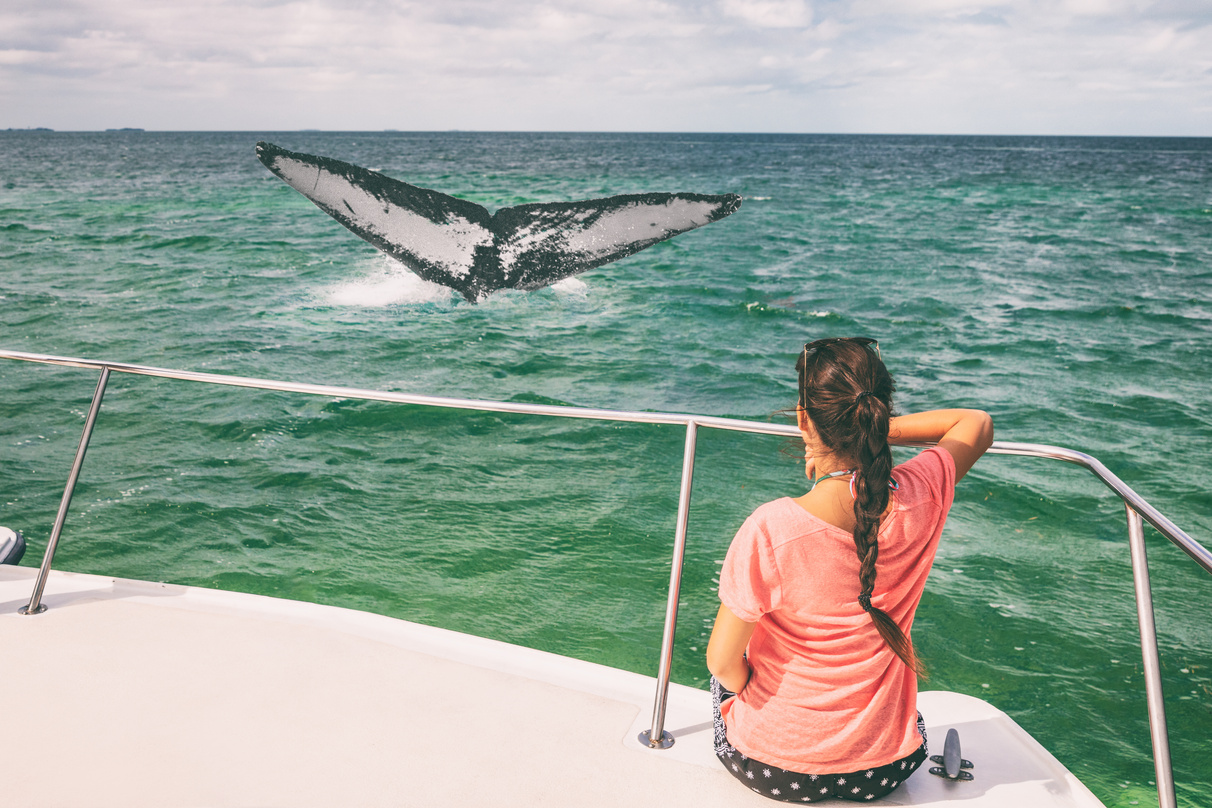  Woman on a Whale Watching Boat Tour
